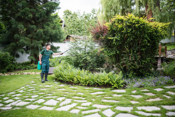Best Cockroach Control Services  in Sunbury, OH