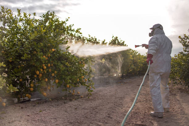 Best Mosquito Control Services  in Sunbury, OH