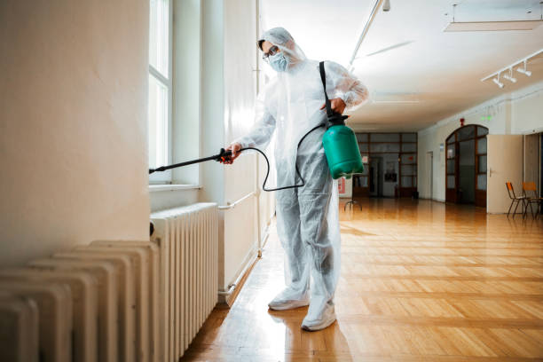Best Flea Control Services  in Sunbury, OH