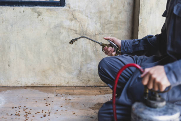 Best Rat Extermination Near Me  in Sunbury, OH